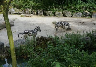 Zoo Lille