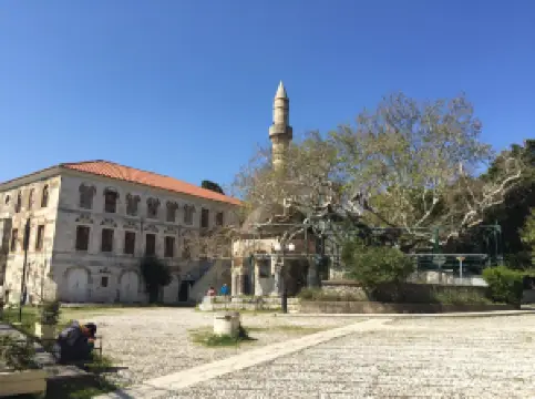 Hippocrates Plane Tree