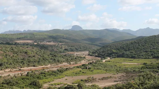 Monte Arcuentu