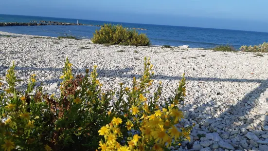 Spiaggia di Montemarciano