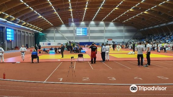 Mustang Arena