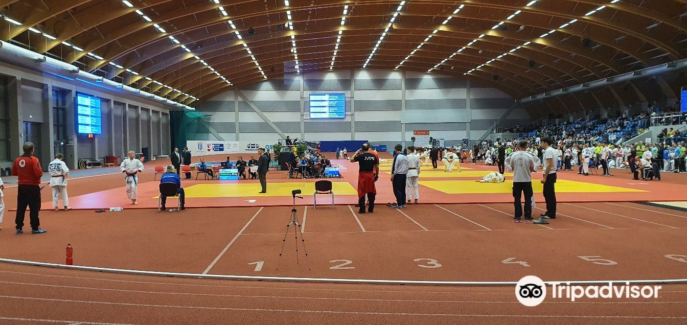 Mustang Arena