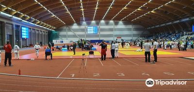 Mustang Arena