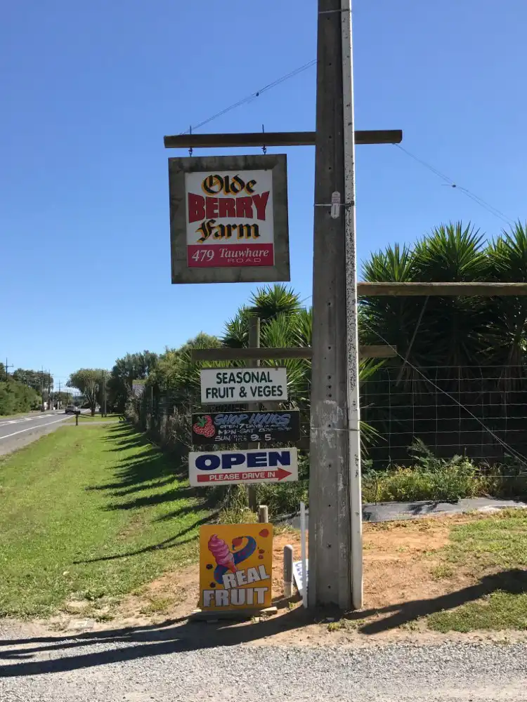 Hotels in Matangi