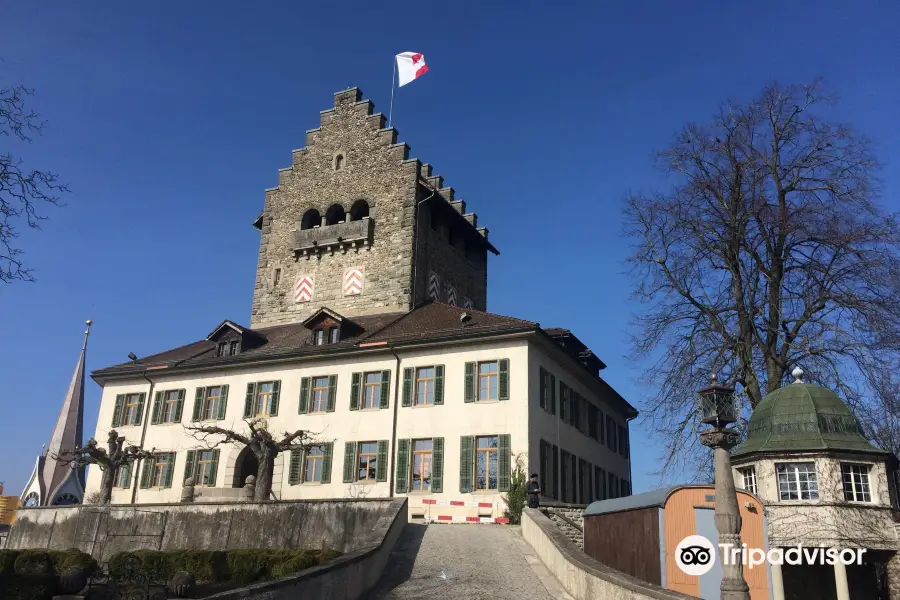 Château de Uster