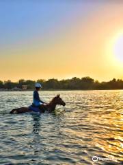 Sanam Stable Horse Riding