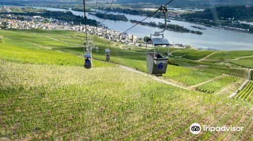 Seilbahn Rudesheim