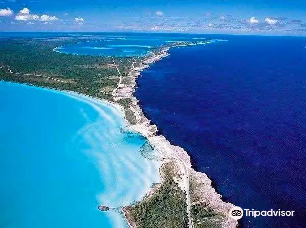 Voli ${{cityDName}} North Eleuthera