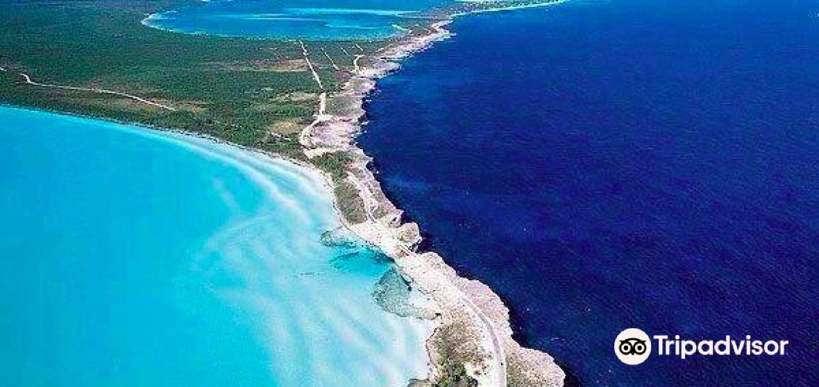 Things to Do in North Eleuthera in 2024 Top Attractions, Local Food