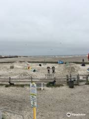 Wildwood Dog Park & Beach