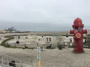 Wildwood Dog Park & Beach