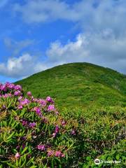 Craggy Gardens