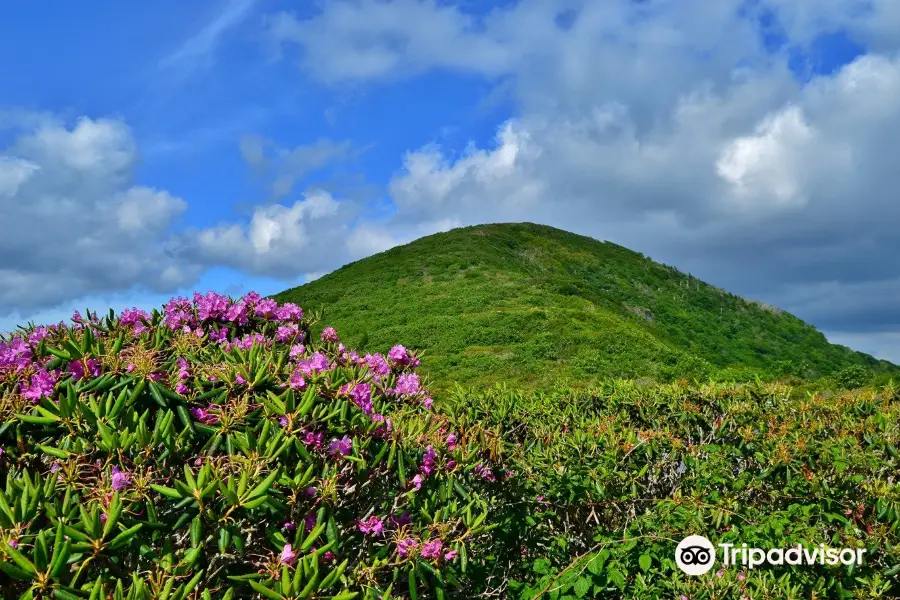 Craggy Gardens