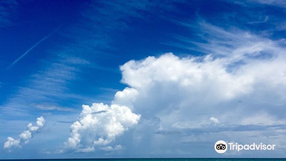 Howard E. Futch Memorial Park at Paradise Beach