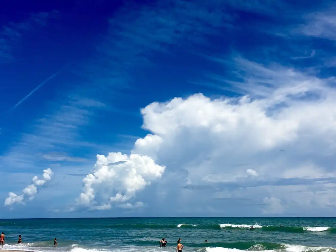 Hotels near Howard E. Futch Memorial Park at Paradise Beach
