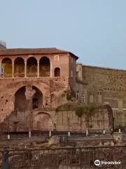 Forum of Nerva