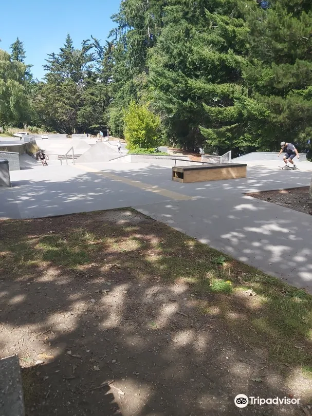 5_Queenstown Skate Park