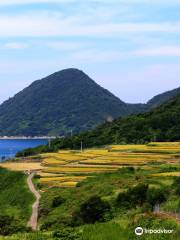 Sodeshi Rice Terraces