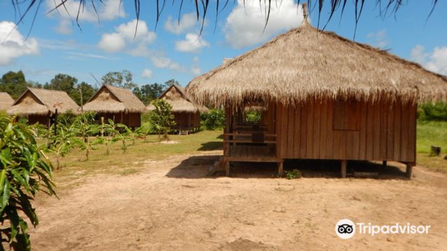 Cambodia Wildlife Sanctuary