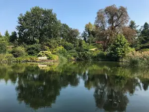 Arboretum Wojslawice