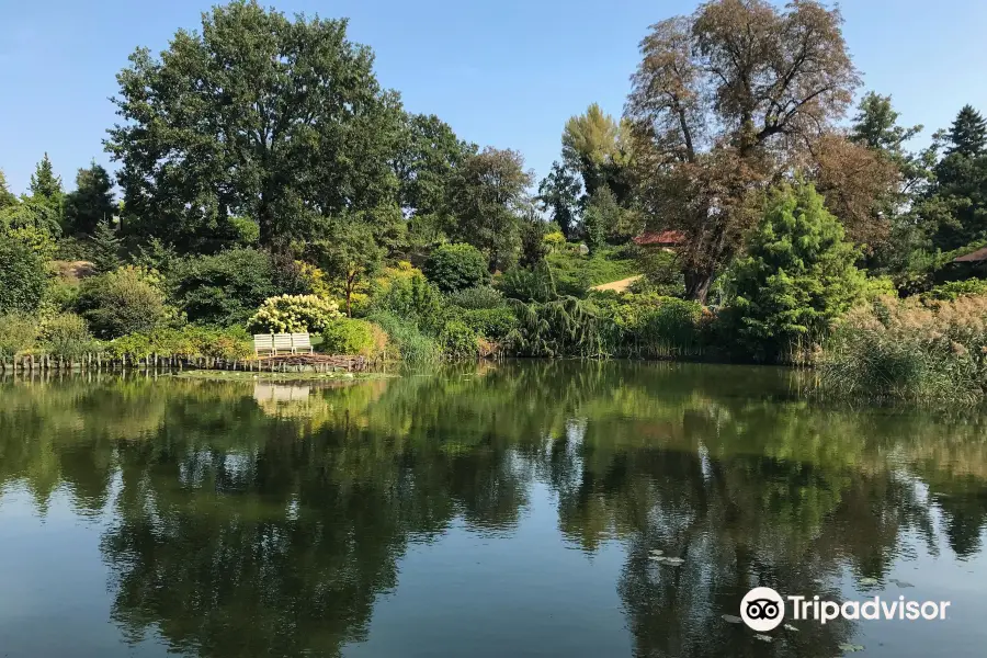 Arboretum Wojslawice