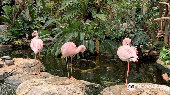 Avonturia De Vogelkelder