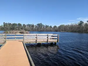 Little Pee Dee State Park