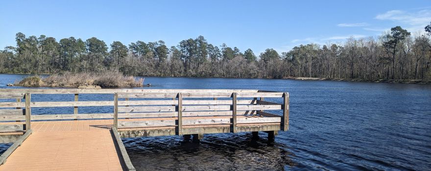 Little Pee Dee State Park