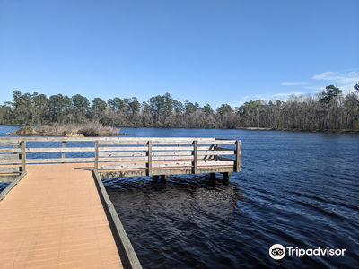 Little Pee Dee State Park