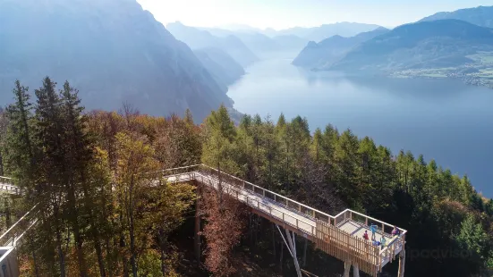 Baumwipfelpfad Salzkammergut