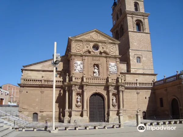 Catedral de Santa Maria