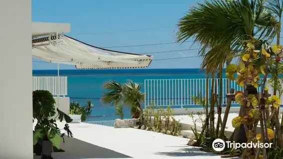 沖繩南部經典景觀一日遊巴士/中文導遊同行/知念岬，瀨長島等