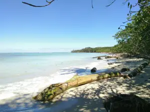 parco nazionale di Cahuita