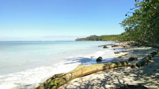 Cahuita National Park