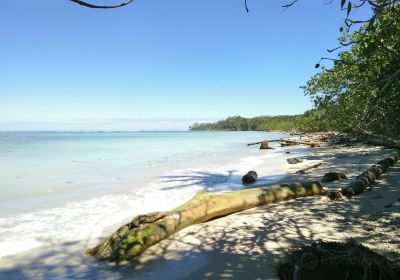 Cahuita National Park