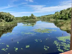 Kányavári Island, "Búbos vöcsók" educational path