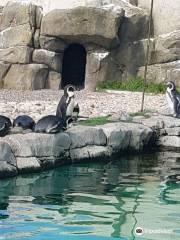 エクスプローリス水族館