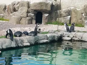 エクスプローリス水族館