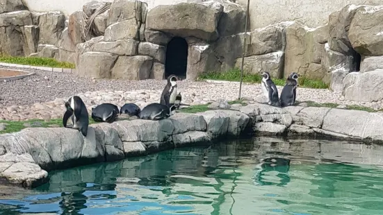 エクスプローリス水族館