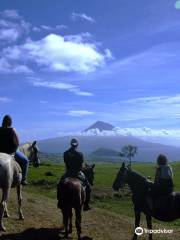 BELO CAMPO - Equitação