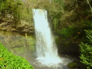 Glencar Waterfall