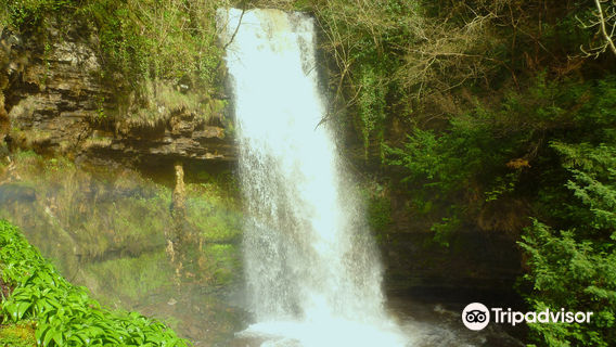 Glencar Waterfall