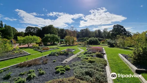 Kaisaniemi Botanic Garden