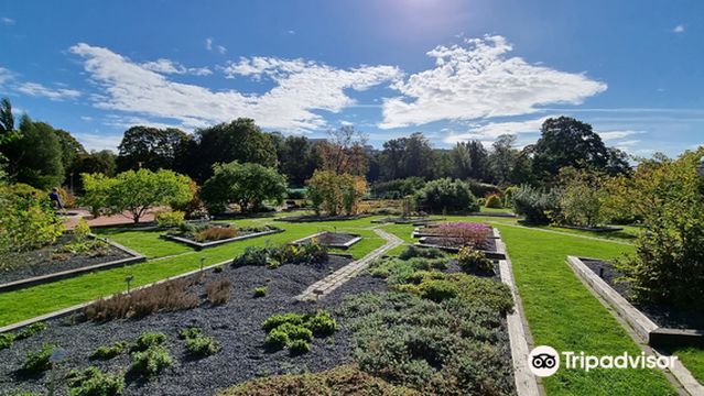 Kaisaniemi Botanic Garden