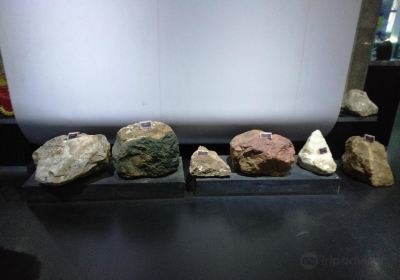 Museum Geologi