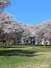 森町・オニウシ公園