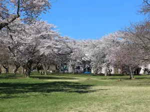 森町・オニウシ公園