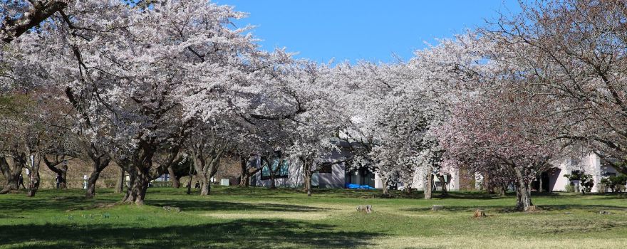 Morimachi Oniushi Park