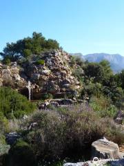 Jardín de L’Albarda