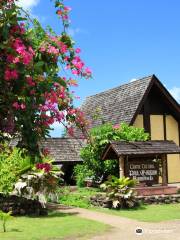 Gauguin Museum